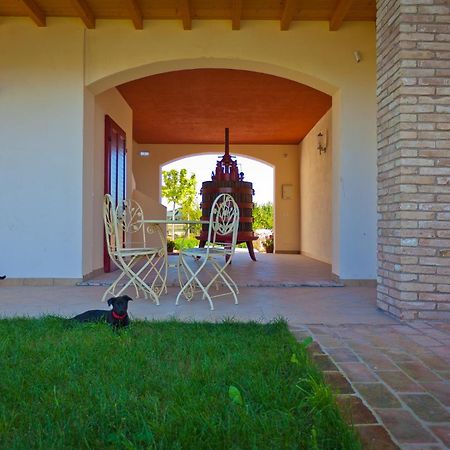 Agriturismo Con Cucina Tipica Nuova Scardua Vendégház Cavriana Kültér fotó