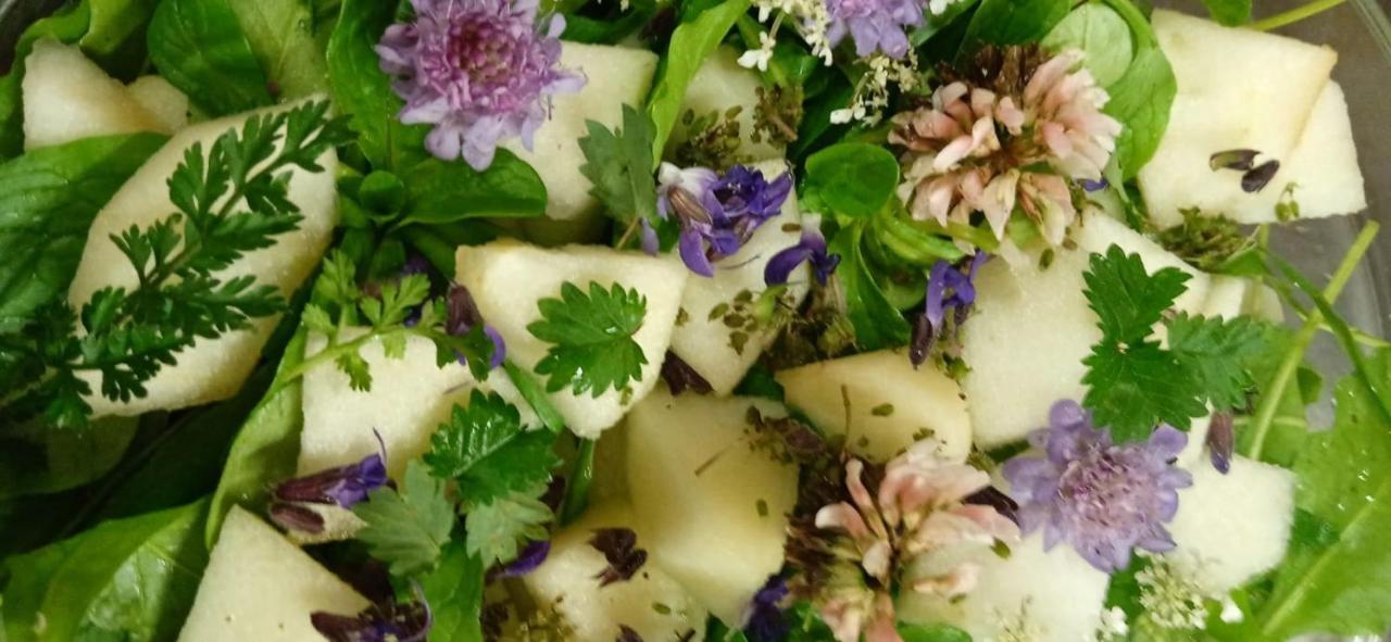 Agriturismo Con Cucina Tipica Nuova Scardua Cavriana Kültér fotó