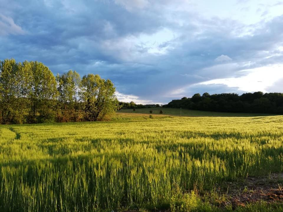 Agriturismo Con Cucina Tipica Nuova Scardua Cavriana Kültér fotó