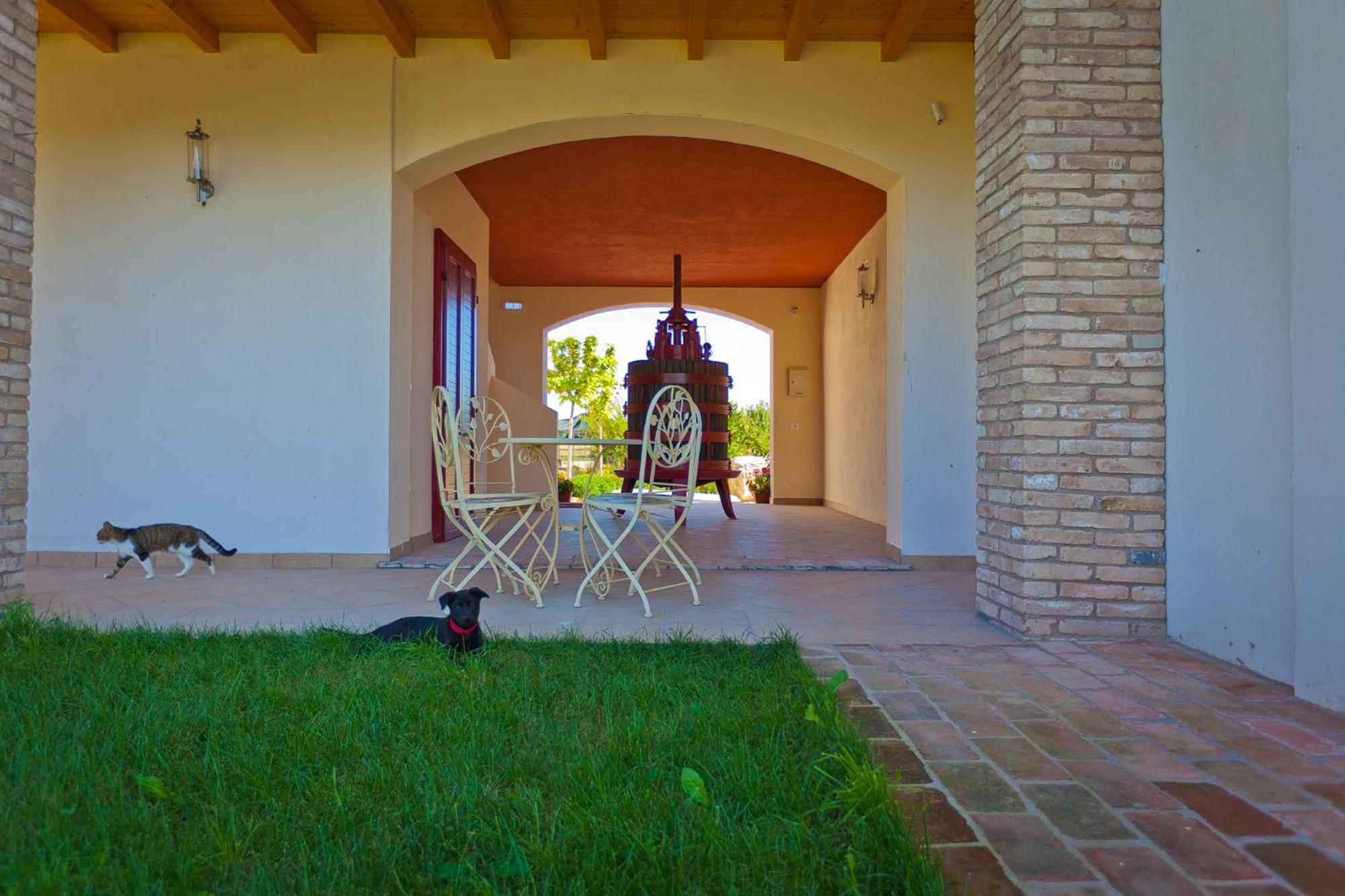 Agriturismo Con Cucina Tipica Nuova Scardua Cavriana Kültér fotó