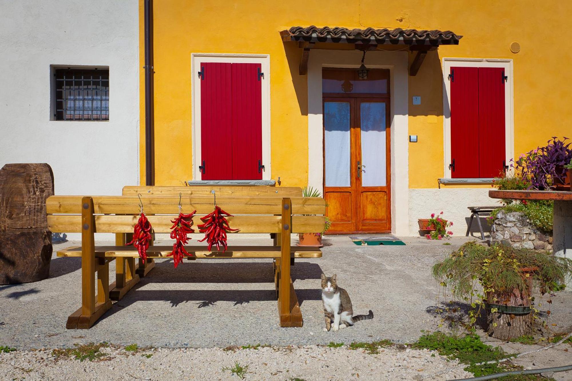 Agriturismo Con Cucina Tipica Nuova Scardua Cavriana Kültér fotó