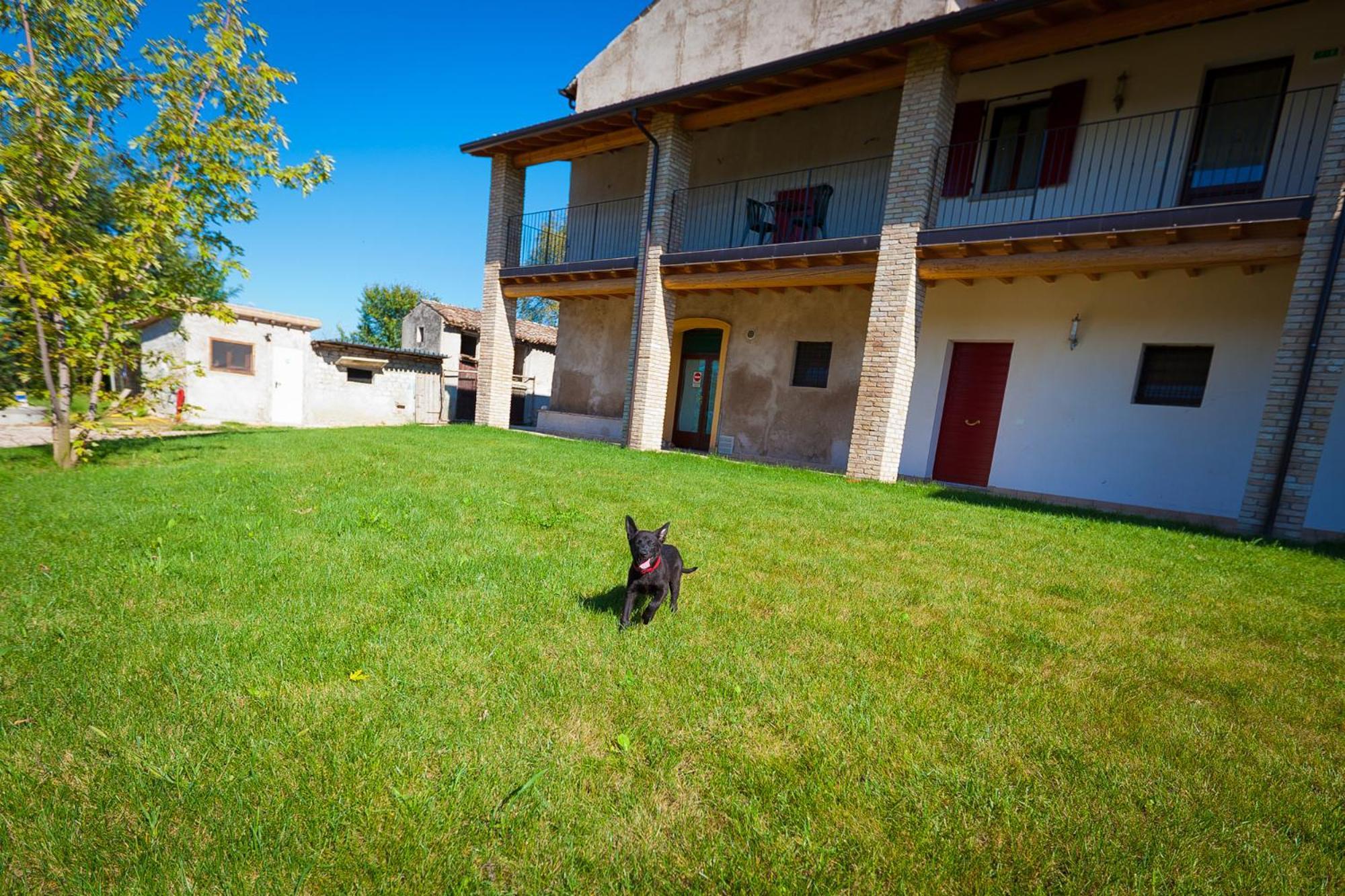 Agriturismo Con Cucina Tipica Nuova Scardua Vendégház Cavriana Kültér fotó