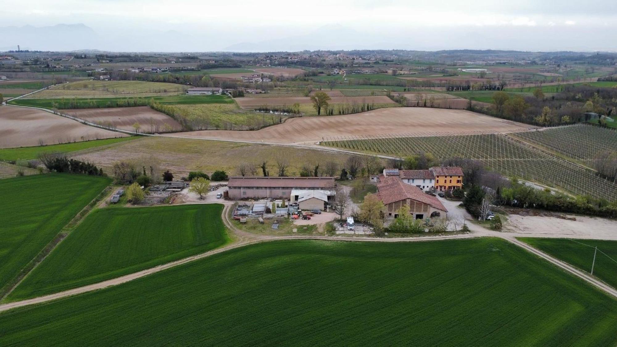 Agriturismo Con Cucina Tipica Nuova Scardua Cavriana Kültér fotó