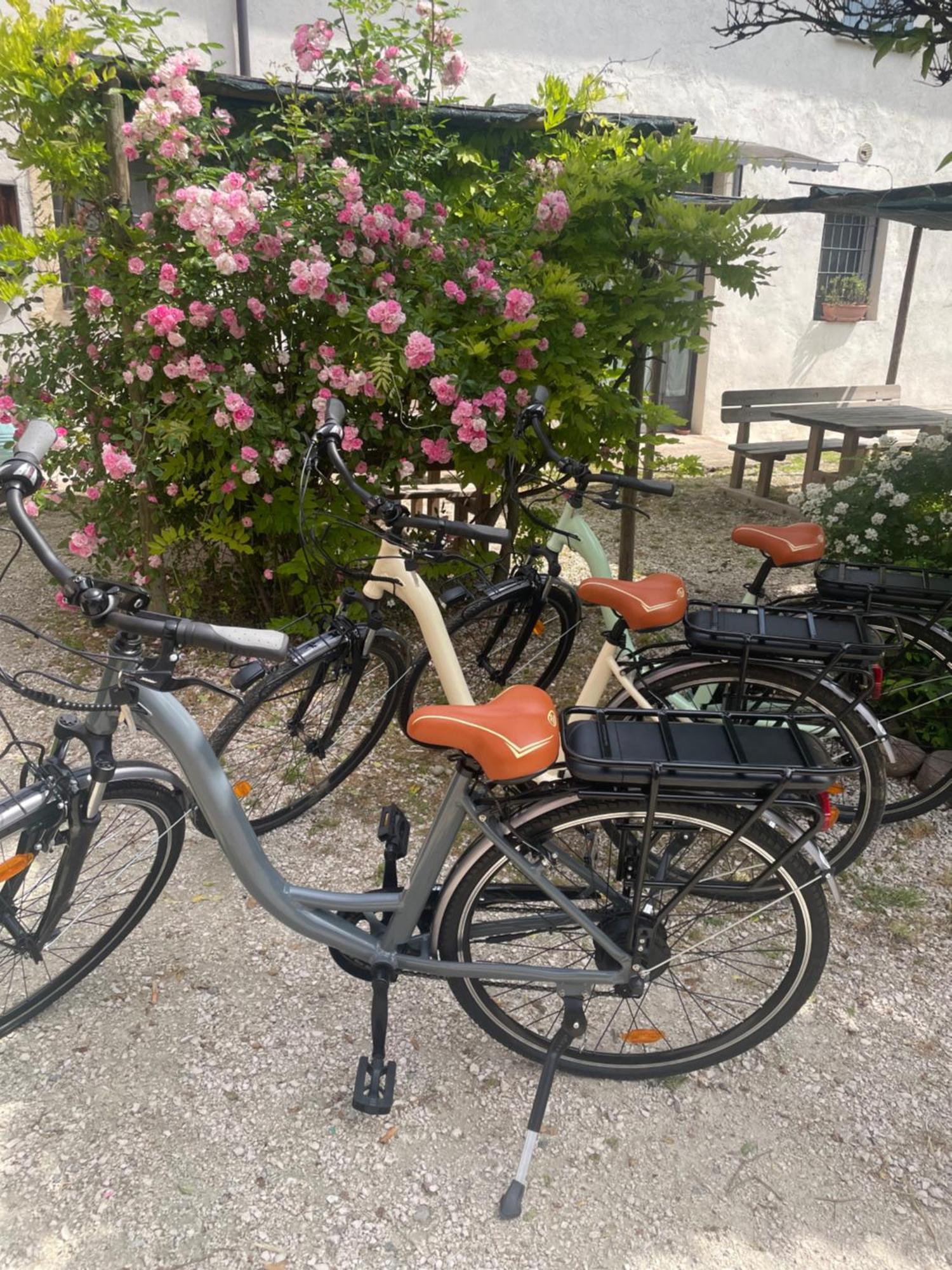Agriturismo Con Cucina Tipica Nuova Scardua Cavriana Kültér fotó